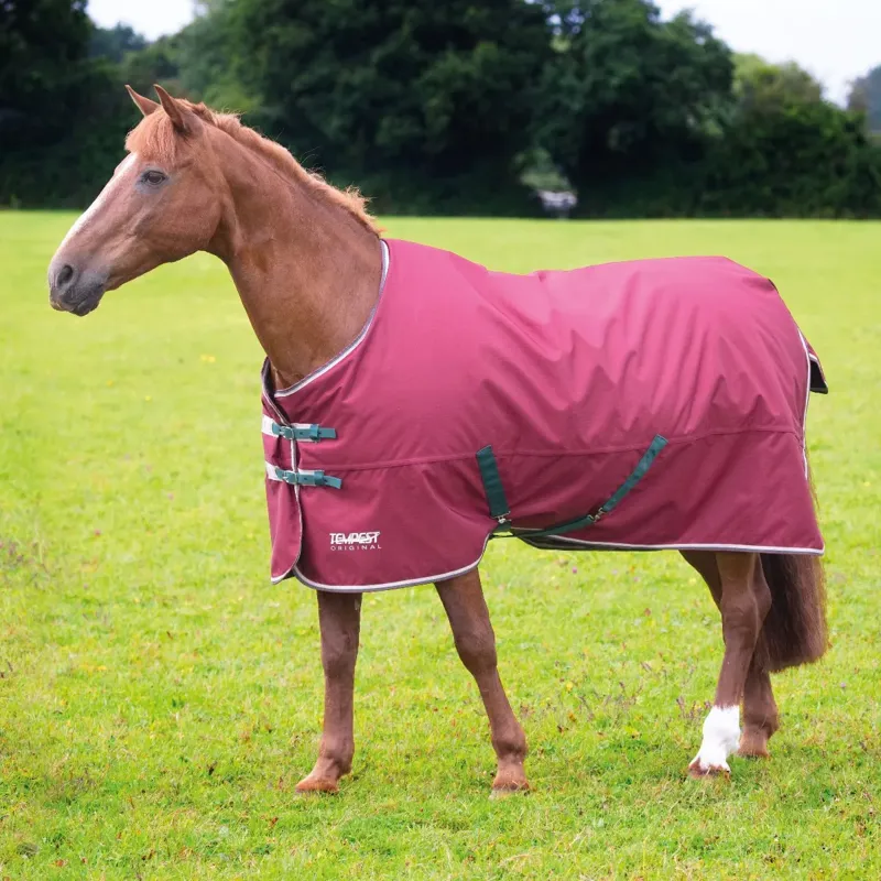 Tempest Original 200 Turnout Rug - Maroon